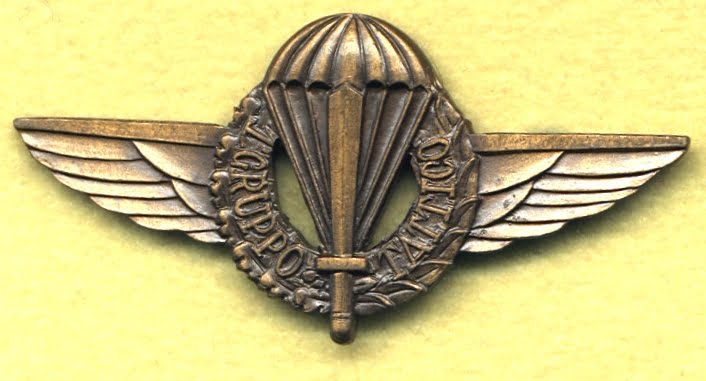 Medaglie, mostrine, stemmi e varie del C.M.P. e 1°Gruppo Tattico Paracadutisti