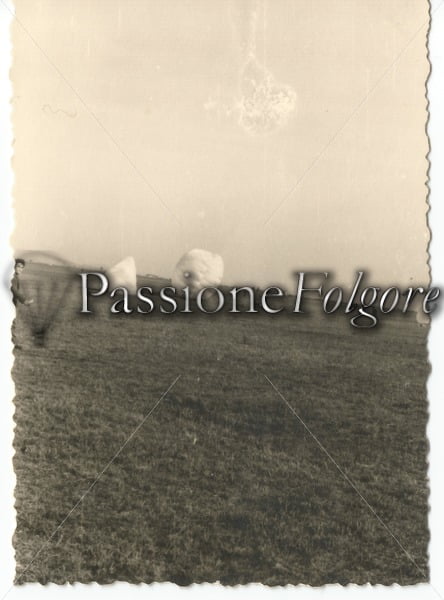 Trascinamenti a terra- Viterbo 1956 - Passione Folgore